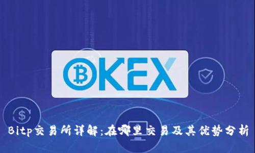 Bitp交易所详解：在哪里交易及其优势分析