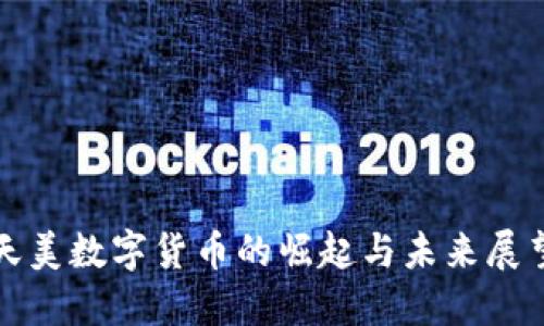 天美数字货币的崛起与未来展望