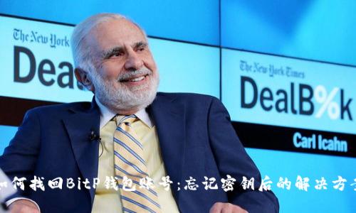 如何找回BitP钱包账号：忘记密钥后的解决方案