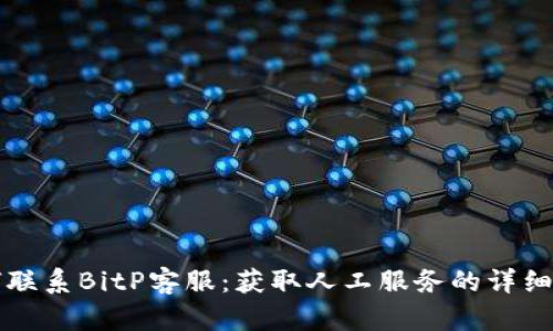 如何联系BitP客服：获取人工服务的详细指南