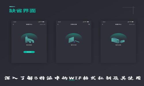 深入了解B特派中的WIF格式私钥及其使用
