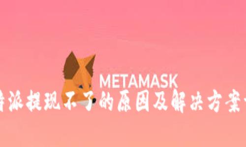 比特派提现不了的原因及解决方案详解