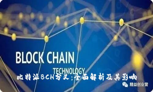 比特派BCH分叉：全面解析及其影响
