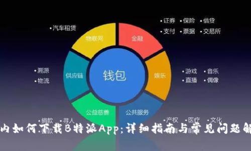 国内如何下载B特派App：详细指南与常见问题解答