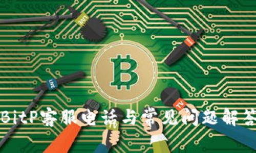 BitP客服电话与常见问题解答