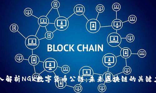 深入解析NGK数字货币公链：未来区块链的关键力量
