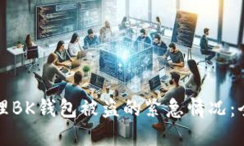 如何处理BK钱包被盗的紧急情况：全面指南