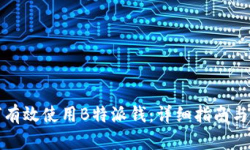 如何有效使用B特派钱：详细指南与技巧