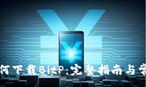 :
苹果手机如何下载BitP：完整指南与常见问题解答