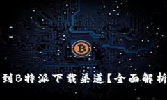 如何找到B特派下载渠道？全面解析与推荐