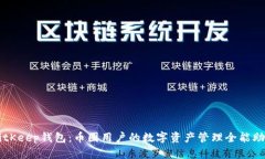 BitKeep钱包：币圈用户的数字资产管理全能助手