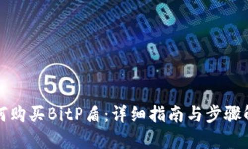 如何购买BitP盾：详细指南与步骤解析