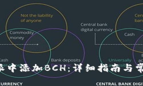 如何在B特派中添加BCH：详细指南与常见问题解答