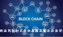 b特派钱包打不开的原因及解决办法详解