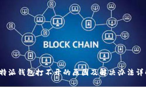 b特派钱包打不开的原因及解决办法详解