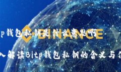 bitp钱包私钥是什么意思啊深入解读Bitp钱包私钥的