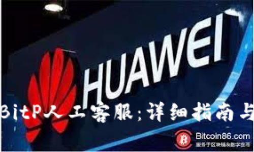 如何联系BitP人工客服：详细指南与常见问题