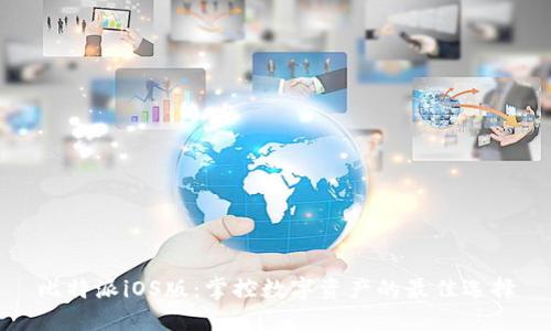 比特派iOS版：掌控数字资产的最佳选择