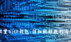 如何备份和设置BitP钱包：详细视频教程与常见问