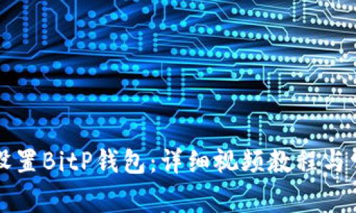 如何备份和设置BitP钱包：详细视频教程与常见问题解析