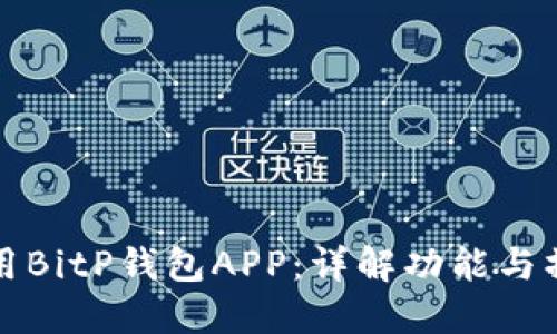 如何使用BitP钱包APP：详解功能与操作指南
