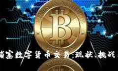 美国与柬埔寨数字货币交易：现状、挑战与未来