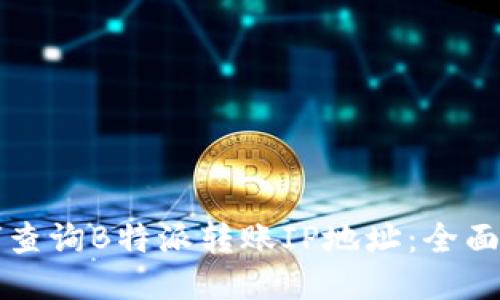 如何查询B特派转账IP地址：全面指南