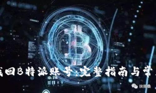 如何找回B特派账号：完整指南与常见问题