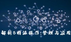 深入解析B特派操作：管理与应用实践