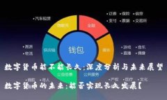 数字货币能不能长久：深度分析与未来展望数字
