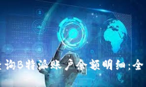 如何查询B特派账户余额明细：全面指南