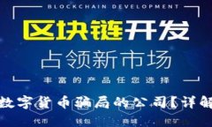 如何控告涉及数字货币骗局的公司？详解用户维