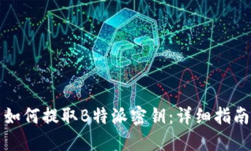 如何提取B特派密钥：详细指南