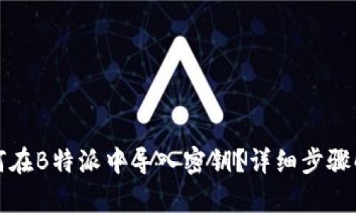 如何在B特派中导入密钥？详细步骤解析