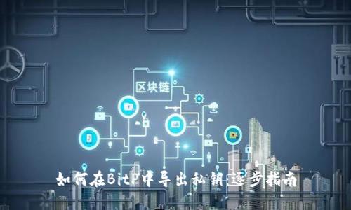 如何在BitP中导出私钥：逐步指南