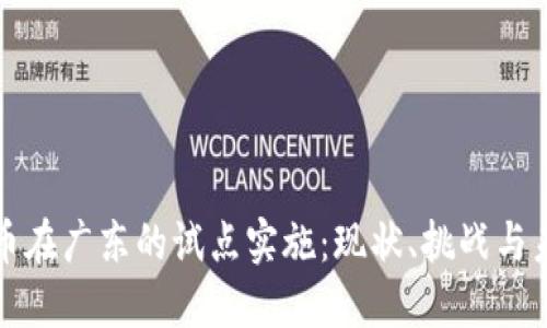 数字货币在广东的试点实施：现状、挑战与未来展望