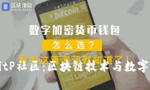 深入探索BitP社区：区块链技术与数字资产的未来
