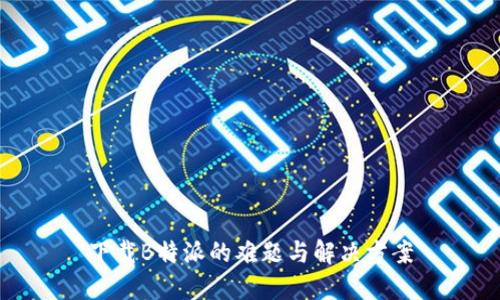 下载B特派的难题与解决方案