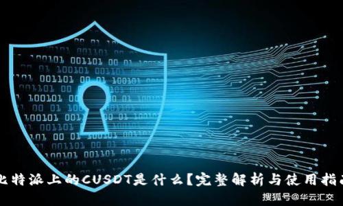 比特派上的CUSDT是什么？完整解析与使用指南