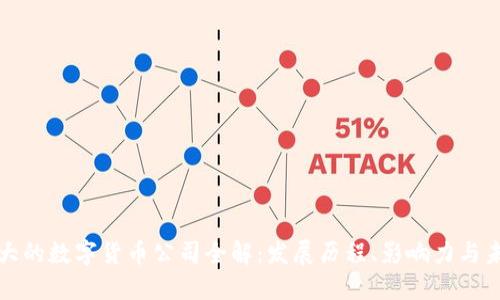 我国最大的数字货币公司全解：发展历程、影响力与未来趋势