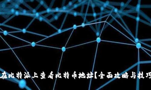如何在比特派上查看比特币地址？全面攻略与技巧分享