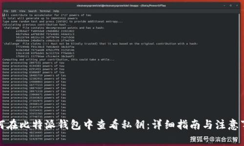 如何在比特派钱包中查看私钥：详细指南与注意事项