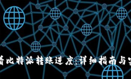 如何查看比特派转账进度：详细指南与实用技巧