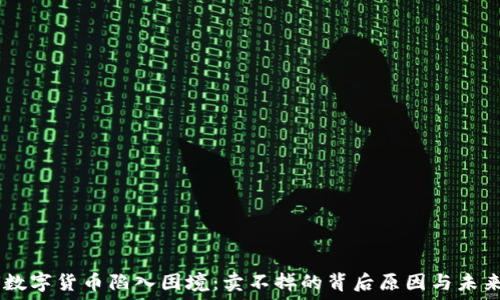  
FISU数字货币陷入困境：卖不掉的背后原因与未来展望