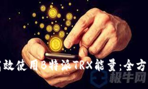 如何高效使用B特派TRX能量：全方位指南