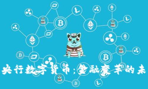 探索国央行数字货币：金融变革的未来之路