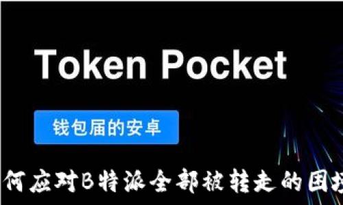   
如何应对B特派全部被转走的困境？