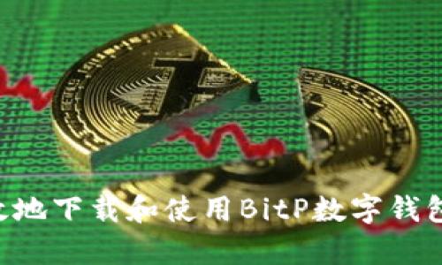 如何安全有效地下载和使用BitP数字钱包：一步步指南