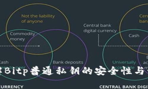 深入理解Bitp普通私钥的安全性与管理策略