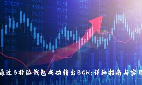 如何通过B特派钱包成功转出BCH：详细指南与实用技巧